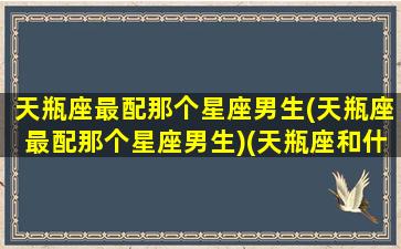 天瓶座最配那个星座男生(天瓶座最配那个星座男生)(天瓶座和什么星座男生)