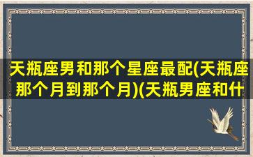 天瓶座男和那个星座最配(天瓶座那个月到那个月)(天瓶男座和什么星座最配女生)