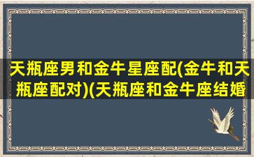 天瓶座男和金牛星座配(金牛和天瓶座配对)(天瓶座和金牛座结婚怎么样)