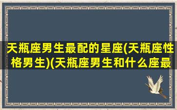 天瓶座男生最配的星座(天瓶座性格男生)(天瓶座男生和什么座最配对)