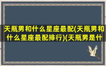 天瓶男和什么星座最配(天瓶男和什么星座最配排行)(天瓶男是什么性格)