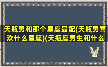 天瓶男和那个星座最配(天瓶男喜欢什么星座)(天瓶座男生和什么座最配对)