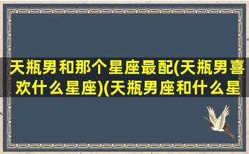 天瓶男和那个星座最配(天瓶男喜欢什么星座)(天瓶男座和什么星座最配女生)