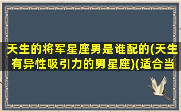 天生的将军星座男是谁配的(天生有异性吸引力的男星座)(适合当将军的星座)