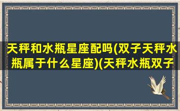 天秤和水瓶星座配吗(双子天秤水瓶属于什么星座)(天秤水瓶双子是什么星座)