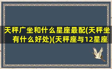 天秤广坐和什么星座最配(天秤坐有什么好处)(天秤座与12星座工作搭档)