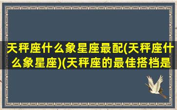 天秤座什么象星座最配(天秤座什么象星座)(天秤座的最佳搭档是什么星座)