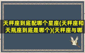 天秤座到底配哪个星座(天秤座和天瓶座到底是哪个)(天秤座与哪个星座般配)