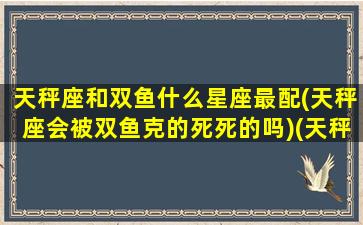 天秤座和双鱼什么星座最配(天秤座会被双鱼克的死死的吗)(天秤座和双鱼座般配吗知乎)