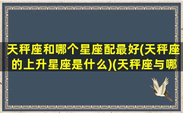 天秤座和哪个星座配最好(天秤座的上升星座是什么)(天秤座与哪个星座最匹配)