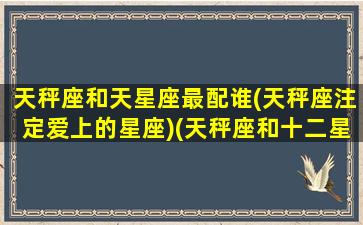天秤座和天星座最配谁(天秤座注定爱上的星座)(天秤座和十二星座配对指数)