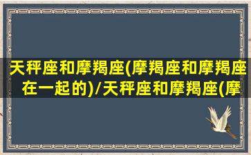 天秤座和摩羯座(摩羯座和摩羯座在一起的)/天秤座和摩羯座(摩羯座和摩羯座在一起的)-我的网站