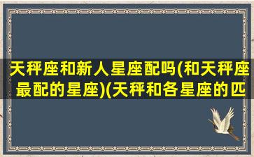 天秤座和新人星座配吗(和天秤座最配的星座)(天秤和各星座的匹配程度)