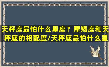 天秤座最怕什么星座？摩羯座和天秤座的相配度/天秤座最怕什么星座？摩羯座和天秤座的相配度-我的网站