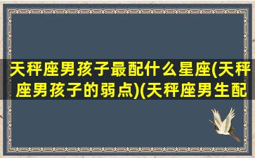 天秤座男孩子最配什么星座(天秤座男孩子的弱点)(天秤座男生配什么样的女生)