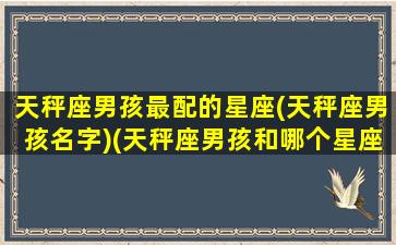 天秤座男孩最配的星座(天秤座男孩名字)(天秤座男孩和哪个星座女孩最配)