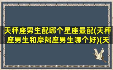 天秤座男生配哪个星座最配(天秤座男生和摩羯座男生哪个好)(天秤座男生和摩羯座女生配对指数)