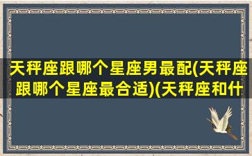 天秤座跟哪个星座男最配(天秤座跟哪个星座最合适)(天秤座和什么星座男生最配)