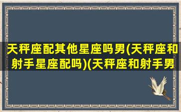 天秤座配其他星座吗男(天秤座和射手星座配吗)(天秤座和射手男合适吗)