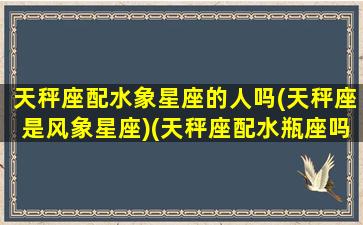 天秤座配水象星座的人吗(天秤座是风象星座)(天秤座配水瓶座吗)