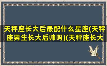 天秤座长大后最配什么星座(天秤座男生长大后帅吗)(天秤座长大后会嫁给谁)