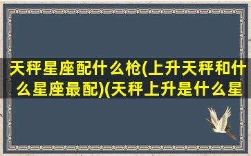 天秤星座配什么枪(上升天秤和什么星座最配)(天秤上升是什么星座配对)