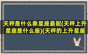 天秤是什么象星座最配(天秤上升星座是什么座)(天秤的上升星座是什么意思)