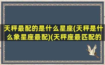 天秤最配的是什么星座(天秤是什么象星座最配)(天秤座最匹配的星座是什么星座)