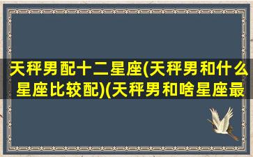 天秤男配十二星座(天秤男和什么星座比较配)(天秤男和啥星座最配)