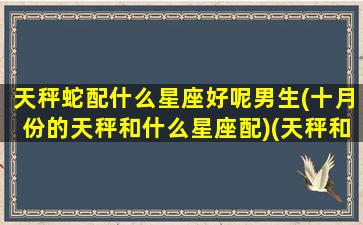 天秤蛇配什么星座好呢男生(十月份的天秤和什么星座配)(天秤和蛇夫配对)