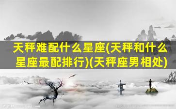 天秤难配什么星座(天秤和什么星座最配排行)(天秤座男相处)