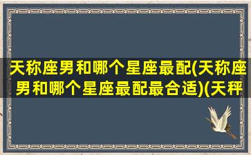 天称座男和哪个星座最配(天称座男和哪个星座最配最合适)(天秤座男和什么星座相匹配)