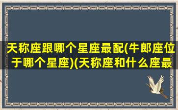 天称座跟哪个星座最配(牛郎座位于哪个星座)(天称座和什么座最合适)