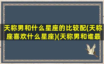 天称男和什么星座的比较配(天称座喜欢什么星座)(天称男和谁最配)