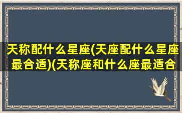 天称配什么星座(天座配什么星座最合适)(天称座和什么座最适合谈恋爱)