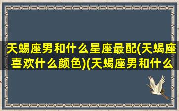 天蜴座男和什么星座最配(天蝎座喜欢什么颜色)(天蝎座男和什么星座男最配)