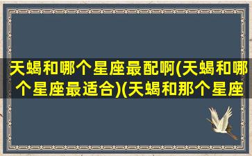 天蝎和哪个星座最配啊(天蝎和哪个星座最适合)(天蝎和那个星座合适)