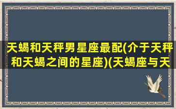 天蝎和天秤男星座最配(介于天秤和天蝎之间的星座)(天蝎座与天秤男)