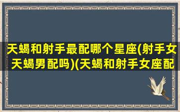 天蝎和射手最配哪个星座(射手女天蝎男配吗)(天蝎和射手女座配对指数)