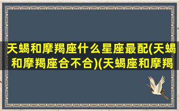 天蝎和摩羯座什么星座最配(天蝎和摩羯座合不合)(天蝎座和摩羯座合得来吗)