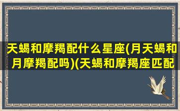 天蝎和摩羯配什么星座(月天蝎和月摩羯配吗)(天蝎和摩羯座匹配程度是多少)