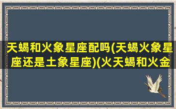 天蝎和火象星座配吗(天蝎火象星座还是土象星座)(火天蝎和火金牛配吗)