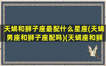 天蝎和狮子座最配什么星座(天蝎男座和狮子座配吗)(天蝎座和狮子座的契合度)