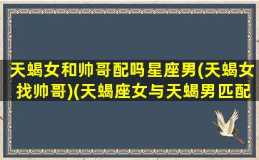 天蝎女和帅哥配吗星座男(天蝎女找帅哥)(天蝎座女与天蝎男匹配指数多少)