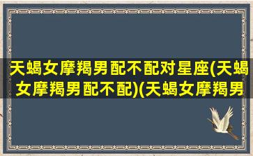 天蝎女摩羯男配不配对星座(天蝎女摩羯男配不配)(天蝎女摩羯男相处之道)