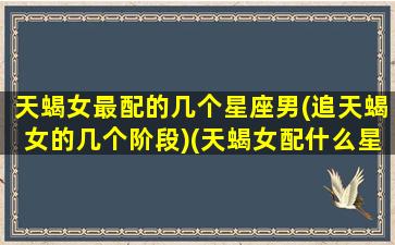 天蝎女最配的几个星座男(追天蝎女的几个阶段)(天蝎女配什么星座男最好)