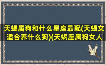 天蝎属狗和什么星座最配(天蝎女适合养什么狗)(天蝎座属狗女人在床上的态度)