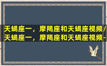 天蝎座一，摩羯座和天蝎座视频/天蝎座一，摩羯座和天蝎座视频-我的网站