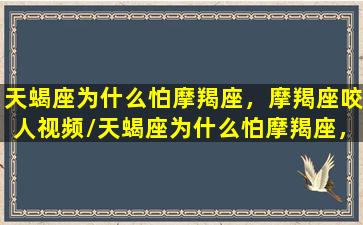 天蝎座为什么怕摩羯座，摩羯座咬人视频/天蝎座为什么怕摩羯座，摩羯座咬人视频-我的网站