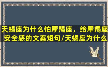 天蝎座为什么怕摩羯座，给摩羯座安全感的文案短句/天蝎座为什么怕摩羯座，给摩羯座安全感的文案短句-我的网站